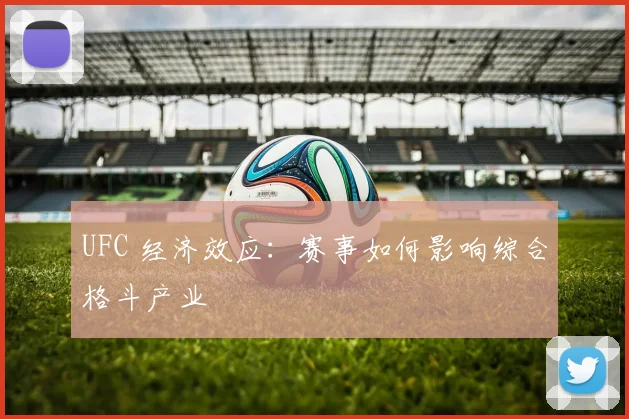 UFC 经济效应:赛事如何影响综合格斗产业
