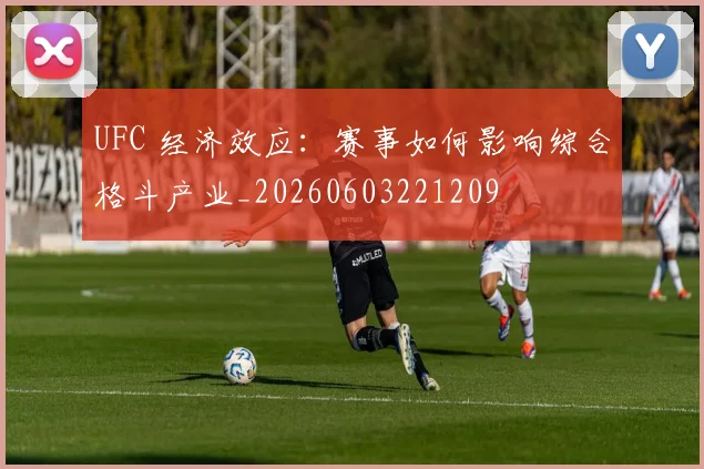 UFC 经济效应：赛事如何影响综合格斗产业_20260603221209