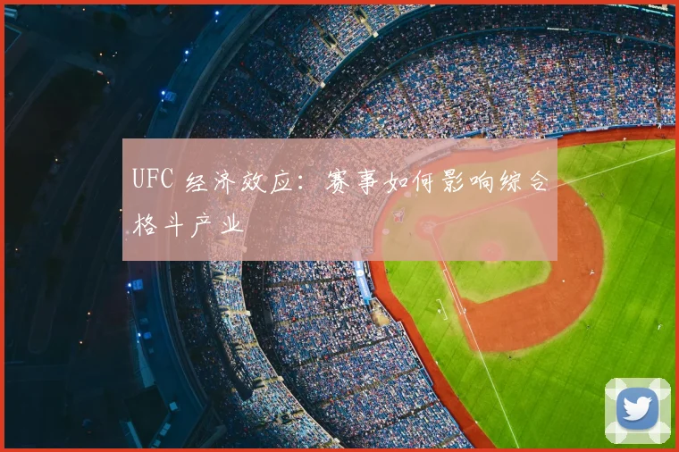 UFC 经济效应：赛事如何影响综合格斗产业